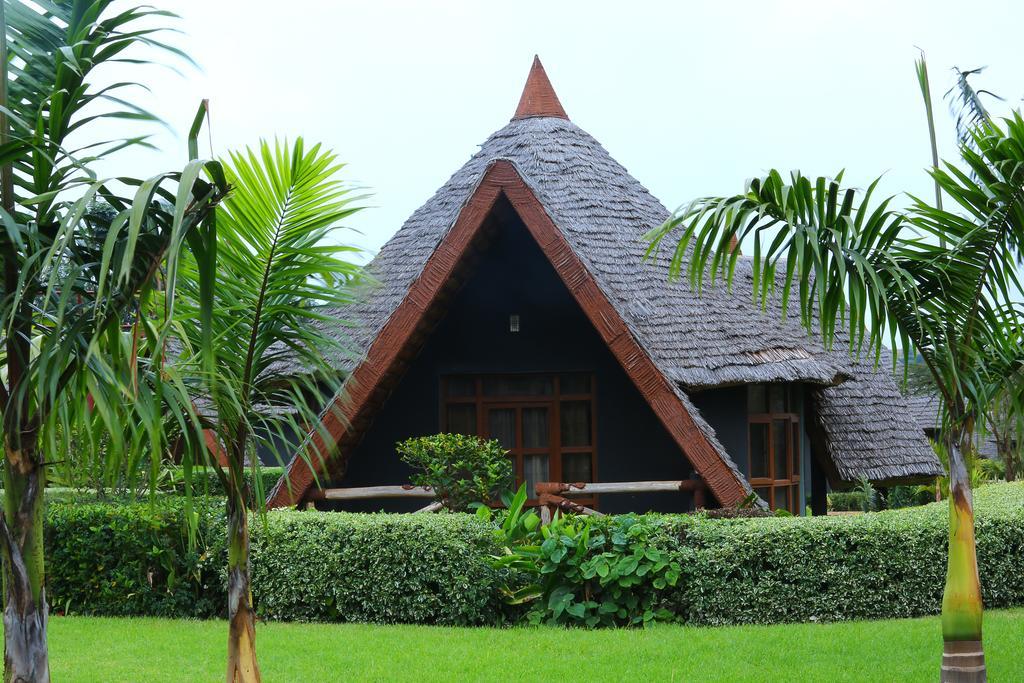 Farm Of Dreams Lodge Karatu Rum bild