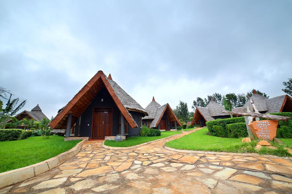 Farm Of Dreams Lodge Karatu Rum bild